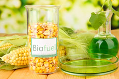 Datchet biofuel availability