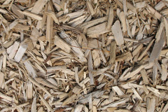 biomass boilers Datchet